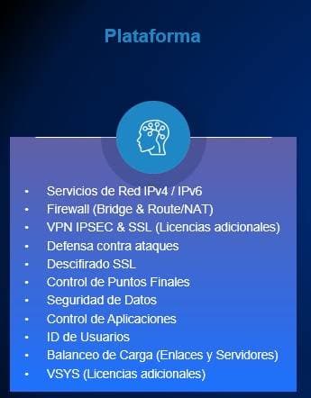 Servicepack Hillstone Adicional SGSV-A200-IN12U (12 meses) -