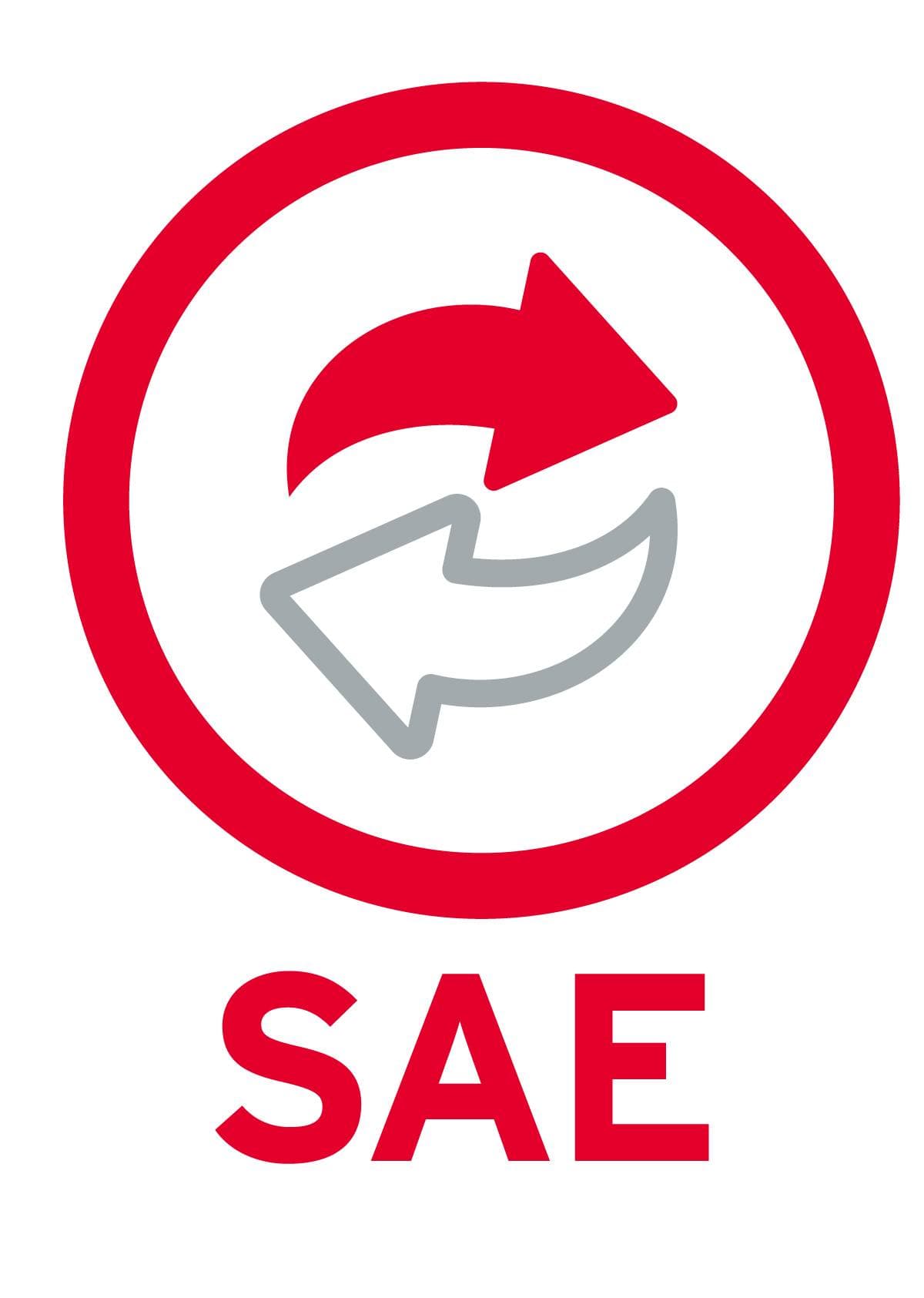ACTUALIZACION 10 USUARIOS ADICIONALES SAE 10 SAEL10AN (FISICO) -