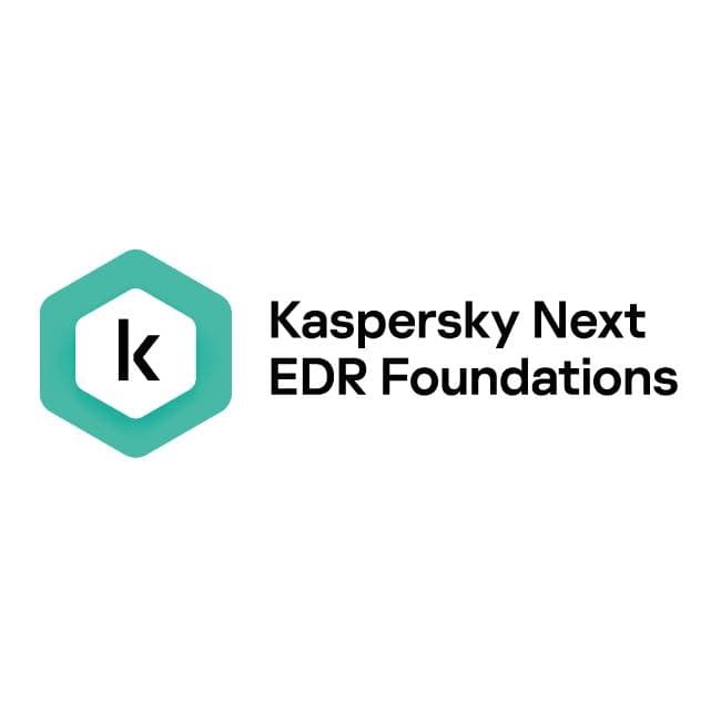 KASPERSKY KL4065ZAPDS